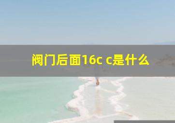 阀门后面16c c是什么